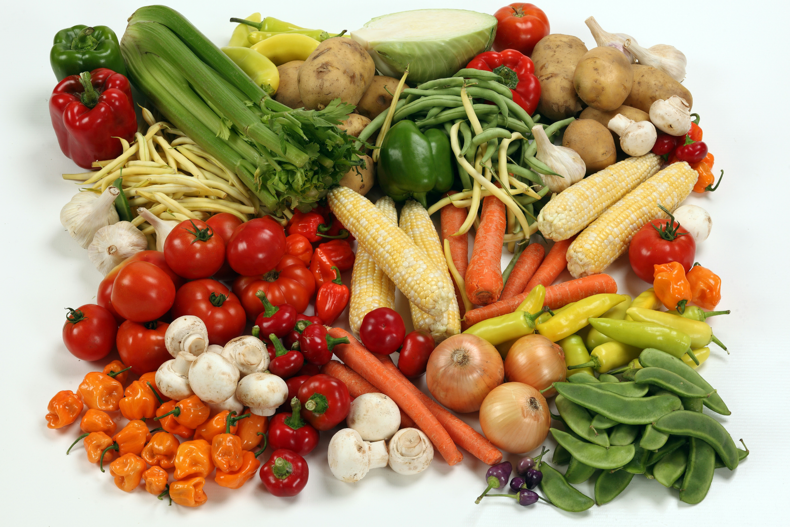 Kampala Fresh Foods Ltd